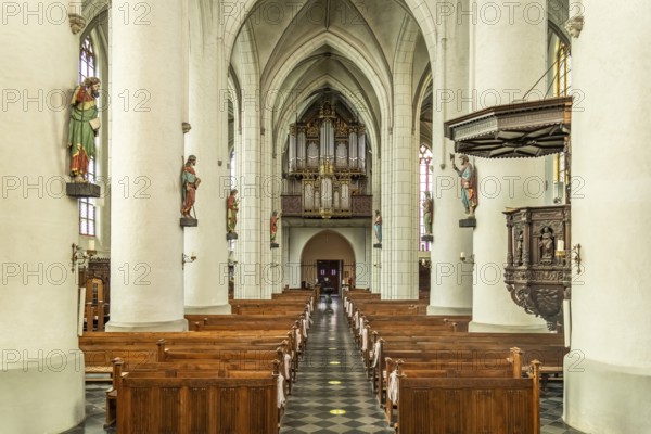 Interior and organ of the Catholic parish church of St Peter and Paul in Straelen, North Rhine-Westphalia, Germany, Europe
