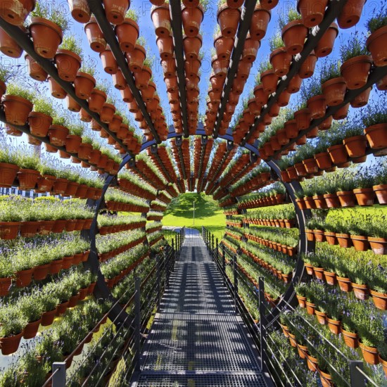 Scented tunnel, a work of art and a beam bridge by Ólafur Elíasson, Autostadt, Volkswagen AG, Wolfsburg, Lower Saxony, Germany, Europe