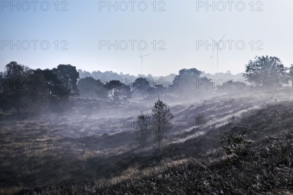 Landscape with wind turbines in the morning glow in autumn, Westruper Heide, Haltern am See, Ruhr area, North Rhine-Westphalia, Germany, Europe