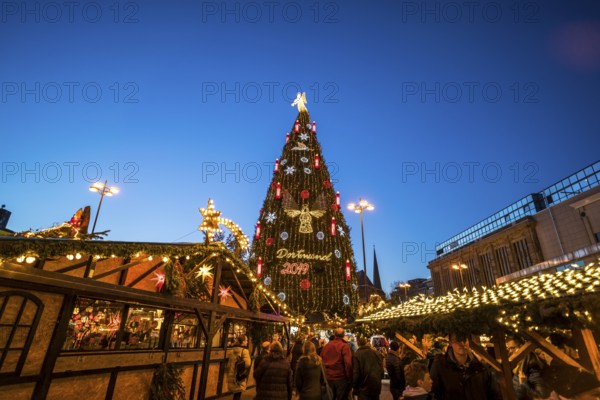 The largest Christmas tree at the Dortmund Christmas market at dusk, Dortmund, North Rhine-Westphalia, Germany, Europe