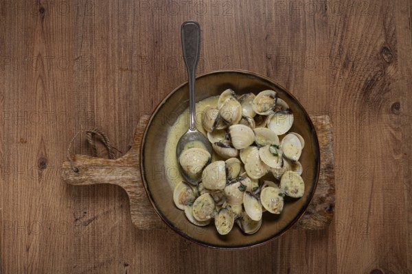 Vongole clams, in cream sauce, homemade, top view, no people