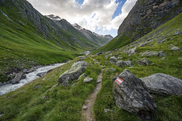 Hiking trail in the Umbaltal valley with Isel mountain stream, glaciated mountain peaks behind, Venediger Group, Hohe Tauern National Park, East Tyrol, Tyrol, Austria, Europe