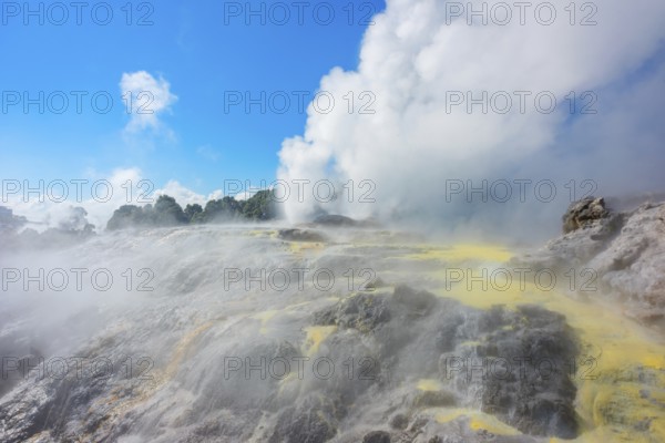 Prince of Wales and Pohutu geysers erupting, Te Puia Thermal Valley, Rotorua, Bay of Plenty, North Island, New Zealand, Oceania