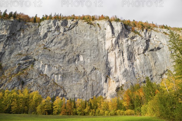 Gößler Wand in autumn. It is a rockwall of 180 m height between the lakes Toplitzsee and Grundlsee. Salzkammergut, Styria, Austria, Europe