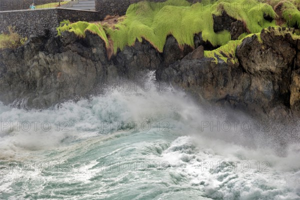 High waves on the rocks of Porto Moniz, Atlantic surf, storm, Porto Moniz, Madeira, Portugal, Europe