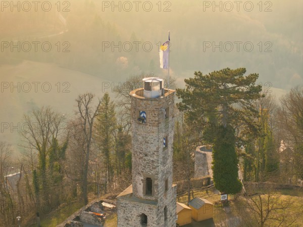 Close-up of a castle tower with flag, surrounded by trees on a misty hill, Löwenstein Castle, Heilbronn district, Germany, Europe