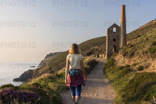 A hiker on the trail to the ruins of Wheal Coates, a former tin mine. The Towanroath Shaft. Pink flowering heather (Erica) by the wayside. Evening, golden hour. St Agnes, Cornwall, England, Great Britain