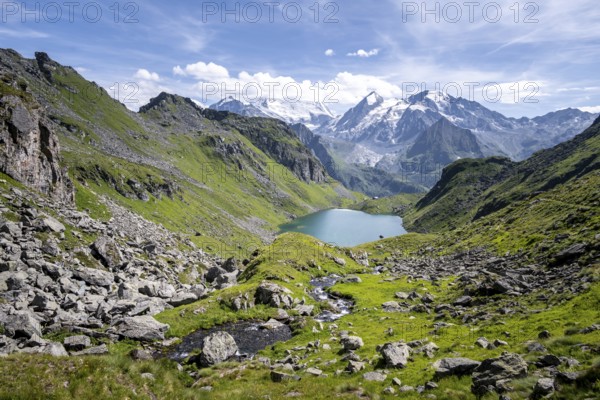 Mountain stream and mountain lake Lac de Louvie with glaciated summit of the Grand Combin, Val de Bagnes, Valais, Switzerland, Europe