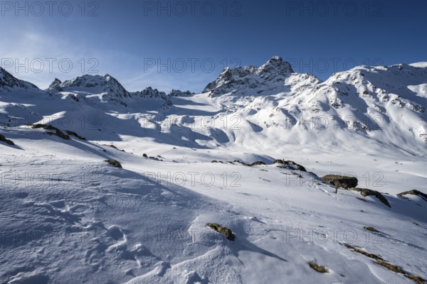 Mountain peak Piz Kesch with snow, view at the Kesch hut in winter, Grisons Haute Route, Albula Alps, Rhaetian Alps, Grisons, Eastern Switzerland, Switzerland, Europe