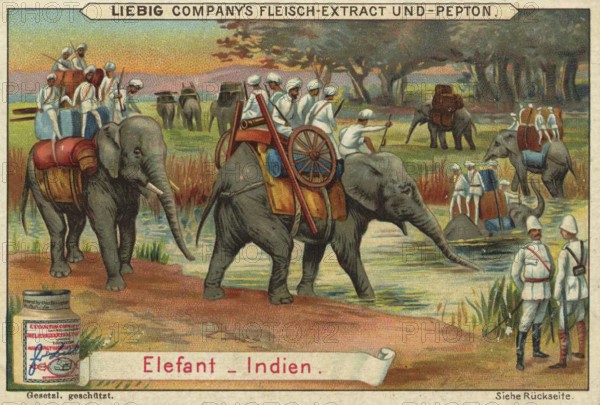 Picture series Animals of the countries, elephant from India, Liebig picture, digitally restored reproduction of a collector's picture from ca 1900, public domain, exact date unknown, elephants with people in traditional dress in an Indian landscape with river