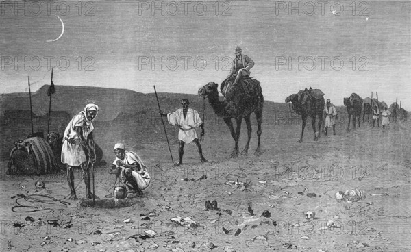 Nocturnal caravan through the Sahara reaches a waterhole, camels, rider, well, crescent moon, stars, line, pot, sandy desert, erg, travelling, historical illustration 1886