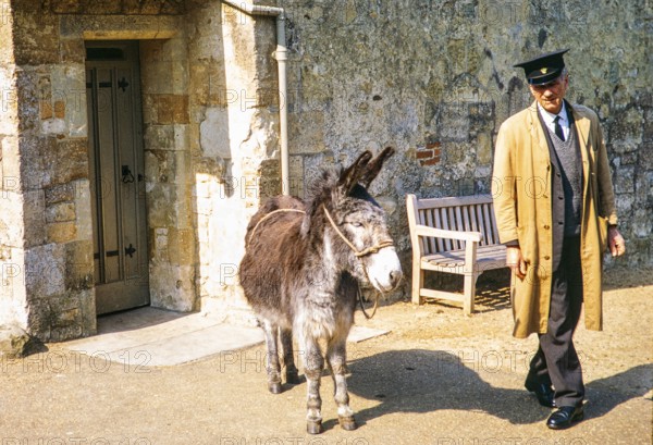 Donkey and animal keeper, Carisbrooke, Isle of Wight, England. 1973