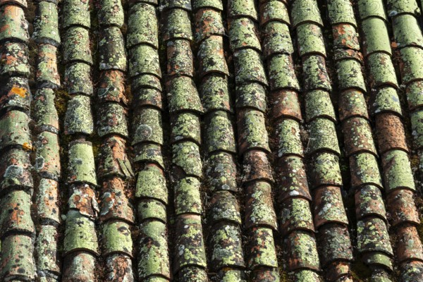 Close-up view of terracotta roof tiles showcasing unique textures and colors. The surface exhibits age with moss, lichen, and natural wear, reflecting a rustic atmosphere. France