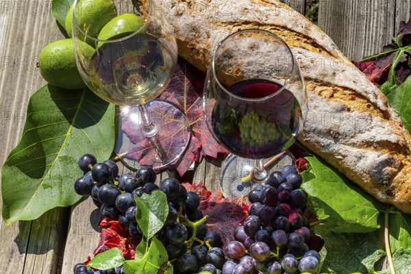 Symbolic image of grape grape harvest: Ripe grapes decorated with wine glasses on a wooden table