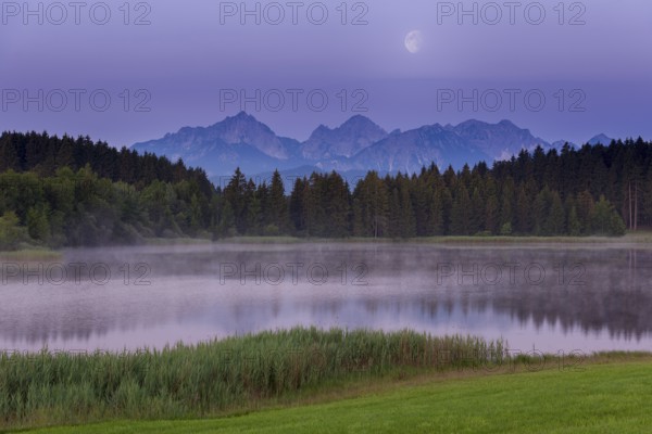 Foggy lake at dawn with visible mountains and forests, quiet atmosphere, Hegratsrieder See near Füssen, Ostallgäu, Allgäu, Swabia, Upper Bavaria, Bavaria, Germany, Europe