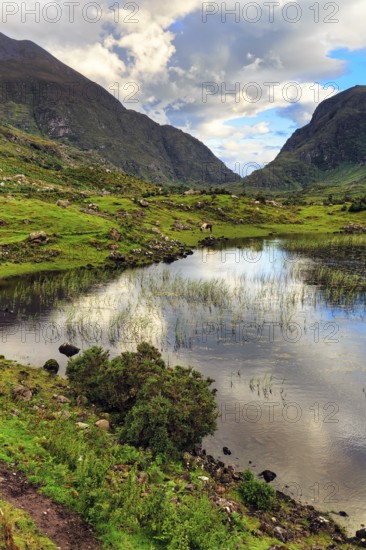 Lakeshore at dusk, Gap of Dunloe mountain pass, Killarney, Ring of Kerry scenic road, Iveragh Peninsula, County Kerry, Ireland, Europe