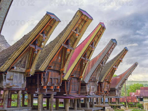 Traditional colourful houses, curved roofs, village in Tana Toraja, Rantepao, Sulawesi, Indonesia, Asia