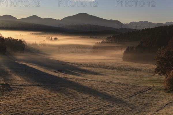 Morning fog in front of mountains, autumn, near Murnau, behind Jochberg, Bavaria, Germany, Europe