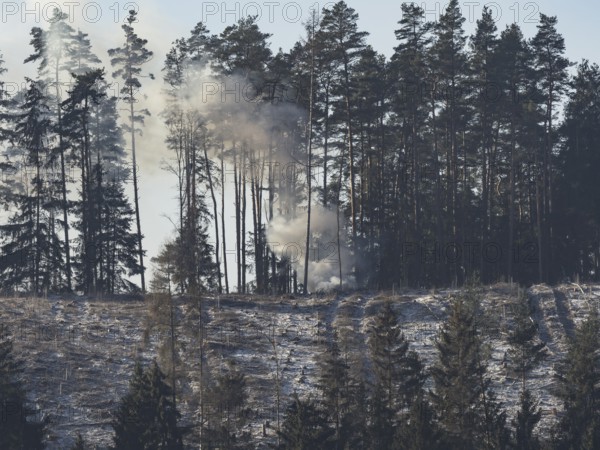 Fire in a forest in Upper Franconia, Germany, Europe