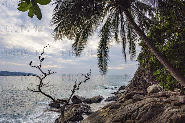 Wild beach with surf on the coast facing the Indian Ocean. Palm trees and high waves at sunset. Patong, Kathu, Phuket Island, Thailand, Asia