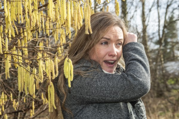 Young Caucasian woman with allergy problem stands by flowering hazel bush and sneezes in the crook of her arm in Ystad, Skåne County, Sweden, Scandinavia, Europe
