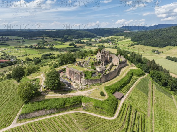Aerial view of the ruins of Hochburg Castle, also known as Hachberg, 11th century, between Emmendingen, Sexau and Windenreute, second largest castle complex in Baden, administrative district of Freiburg, Black Forest, Baden-Württemberg, Germany, Europe