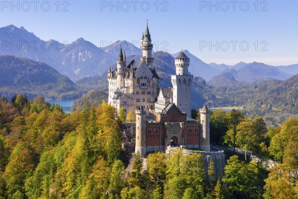 Neuschwanstein Castle against an alpine backdrop with colourful autumn vegetation and a clear sky, Schwangau, Ostallgäu, Allgäu, Swabia, Upper Bavaria, Bavaria, Germany, Europe