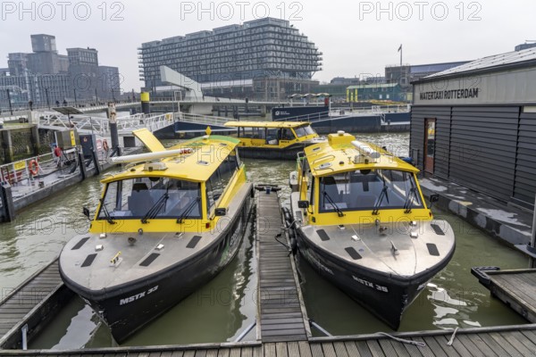 Water taxi Rotterdam, individual taxi rides with motorboats in Rotterdam, in the harbour and on the Nieuwe Maas, Netherlands