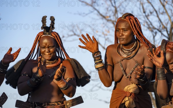 Traditional Himba woman clapping, music and dance, portraits, in the evening light, near Opuwo, Kaokoveld, Kunene, Namibia, Africa