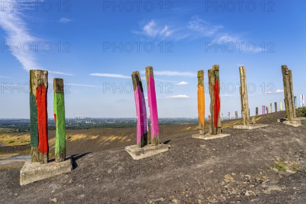The Haniel spoil tip, 185 metre high spoil tip at the Prosper Haniel mine, which was closed in 2019, artwork Totems by the sculptor Augustin Ibarrola, Bottrop, Germany, Europe