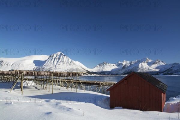 On the beach of Barstrand on the island of Gimsoymyrene, Lofoten, in Norway in winter, Norway, Scandinavia, Europe