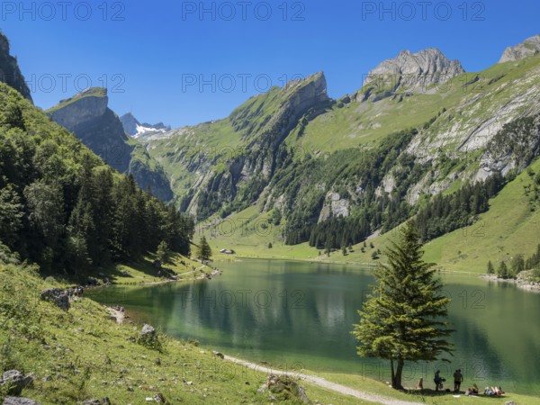Lake Seealpsee, Alpstein mountain range near Wasserauen, peak of Mt. Säntis in the back, Appenzell, Switzerland, Europe