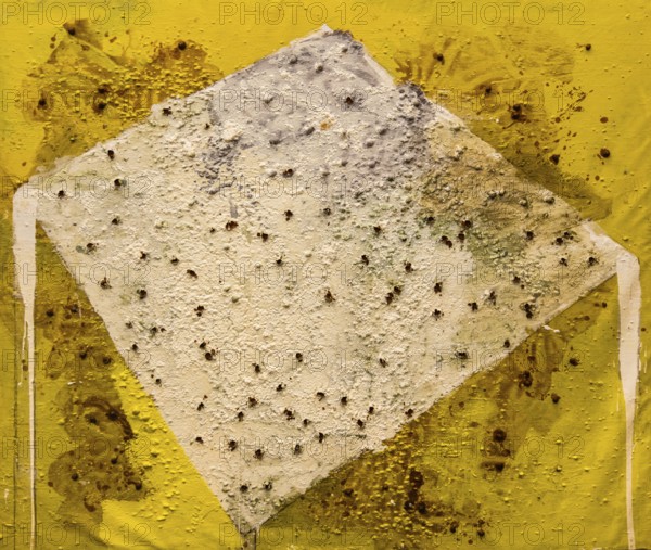 The Almonds, 1989, mixed media on canvas, exhibition Miquel Barcelo, Vida y Muerte, Museum Kueppersmuehle, Duisburg, Germany- Editorial use only