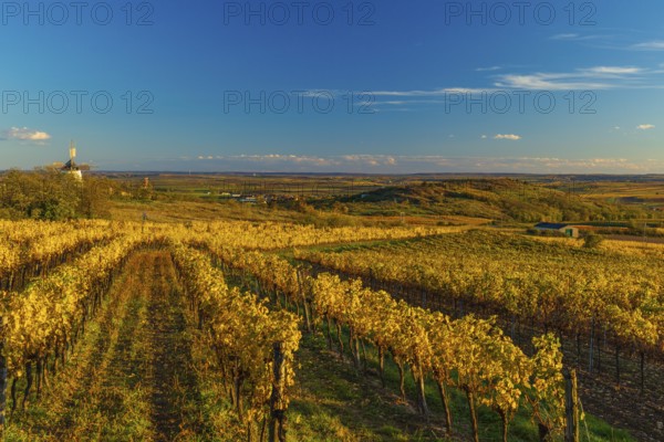 Surrounded by Vineyards. Windmill Retz, located in Lower Austria. The windmill is one of the last two operational windmills in Austria