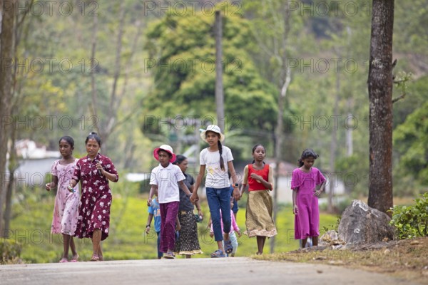 Sri Lankan woman and children go for a lunch break on a tea plantation, Ramboda, Nuwara Eliya, Central Province, Sri Lanka, Asia