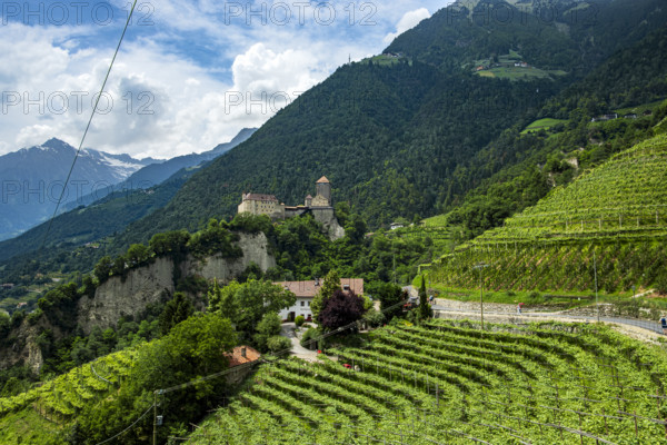 Tyrol Castle seen from Dorf Tyrol, medieval ancestral castle of the Counts of Tyrol and since 2003 home to the South Tyrolean Provincial Museum of Cultural and Regional History near Meran, Burggrafenamt, South Tyrol, Italy, Europe