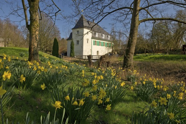 Goldberg Mill in spring, historical sight, Mettmann, Bergisches Land, North Rhine-Westphalia, Germany, Europe