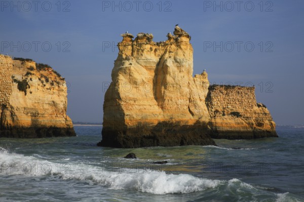 Praia do Pinhao, Lagos, Algarve, Portugal, Impressive rock formations rise out of the blue sea, surrounded by waves and a clear sky, Europe