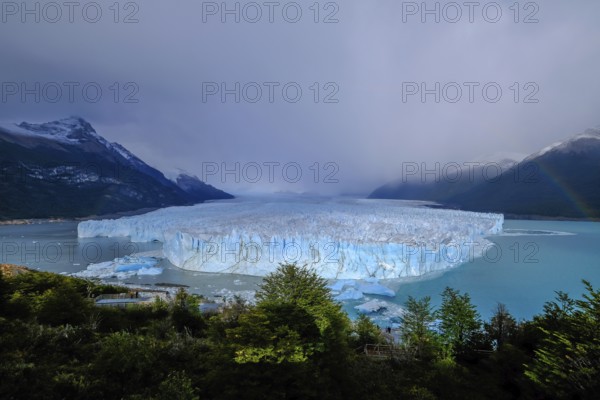El Calafate, Patagonia, Argentina, Perito Moreno Glacier in Los Glaciares National Park. The Perito Moreno Glacier is part of the Patagonian ice field, the Campo Hielo Sur, the third largest freshwater reserve in the world. It is located in the province of Santa Cruz on Lago Argentino, the country's largest lake. The Perito Moreno Glacier is up to 30 kilometres long and 5 kilometres wide. Its edge is 70 metres high at its highest point. Small icebergs that have broken off from the glacier float in Lago Argentino. The glacier is one of the most beautiful sights in South America and is one of the most visited attractions in Argentina, South America