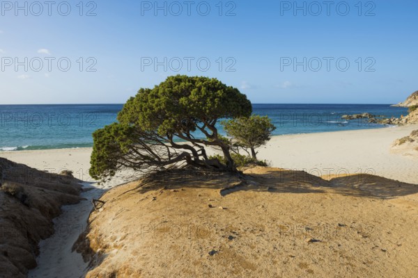 Lonely sandy beach and rocks, Spiaggia di Porto Sa Ruxi, Villasimius, south coast, Sardinia, Italy, Europe
