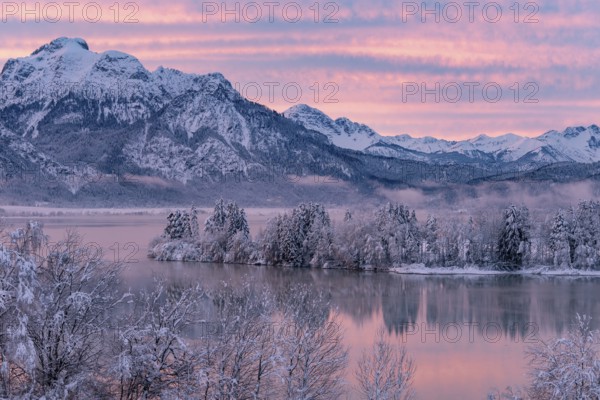 Dawn and sunrise at the wintry Forggensee in a snow-covered winter landscape in the foothills of the Alps in the Allgäu in Bavaria, Germany, Europe