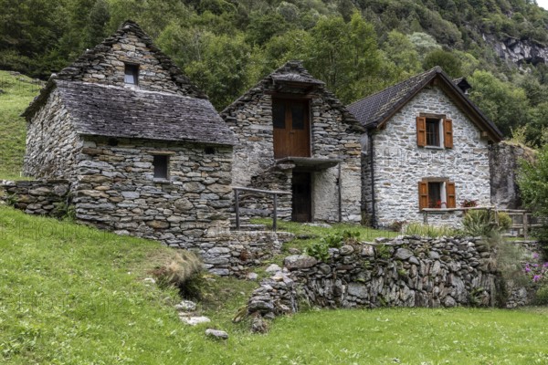 Typical Ticino stone houses in the village of Sonogno, Verzasca Valley, Valle Verzasca, Canton Ticino, Switzerland, Europe