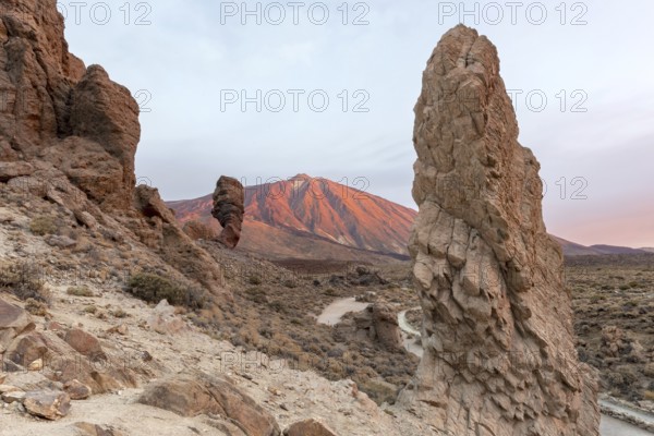 Panorama at sunrise on the Roque Chinchado, also known as the Stone Tree or Finger of God, landmark of the island, Los Roques de Garcia, behind it the Pico del Teide, 3717m, Las Cañadas, Teide National Park, Tenerife, Canary Islands, Spain, Europe