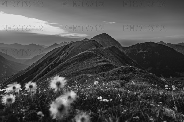 Hiking tour on the Hönig mountain in the Lechtal valley near Berwang in Tyrol, Austria, Europe