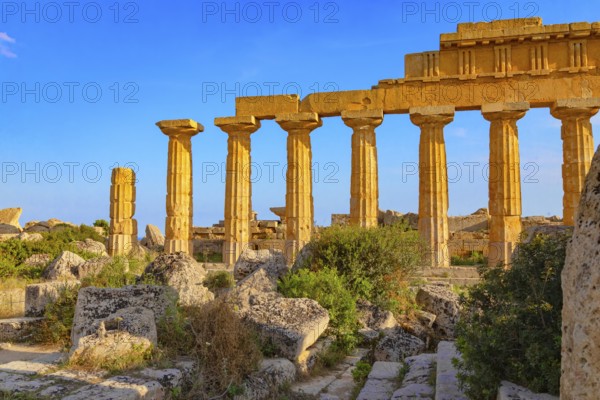 Temple of Apollo or Temple C, Selinunte Archaeological Park, Selinunte, Trapani district, Sicily, Italy, Europe