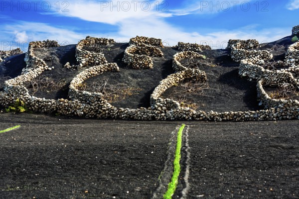 2016, Tiagua, Lanzarote, Farm Museum El Patio, Tiagua, ESP, Spain, Canary Islands, Canary Islands, Atlantic Ocean, Lanzarote, biosphere reserve, volcano, volcanism, agricultural museum, open-air museum, volcanic island, island, recording date, Europe