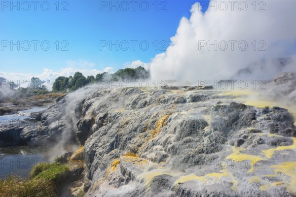 Prince of Wales and Pohutu geysers erupting, Te Puia Thermal Valley, Rotorua, Bay of Plenty, North Island, New Zealand, Oceania
