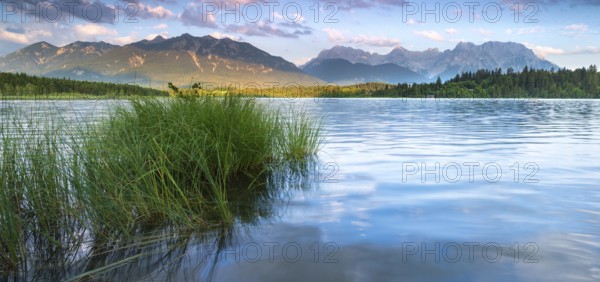 Evening mood at Barmsee with reeds, view of the Karwendel mountains, Krün, Bavaria, Germany, Europe