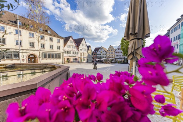 Flowers in the foreground, village square with half-timbered houses and fountain under a marvellous sky, Weil der Stadt, Böblingen district, Germany, Europe