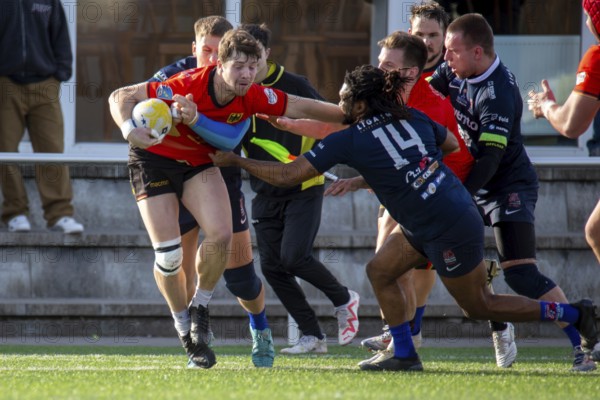 Rugby: Germany against MKS Pogon Awenta Siedlce, Poland in Heidelberg (test match of the German national rugby team in preparation for the upcoming World Cup qualifiers)